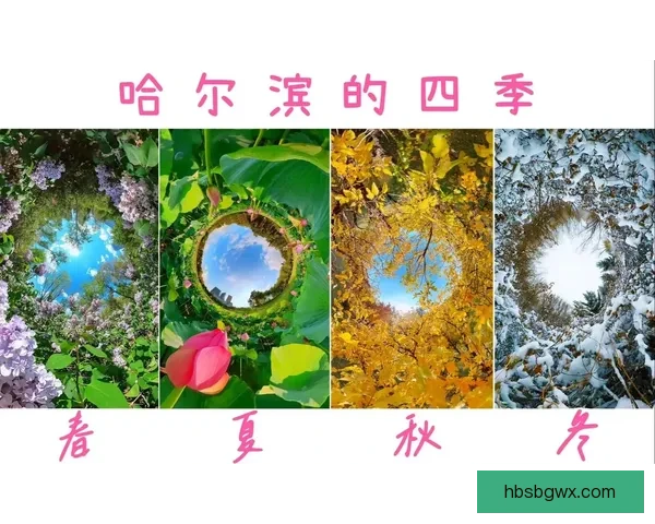哈尔滨vs多维度对比分析从城市发展文化旅游与经济活力全景观察